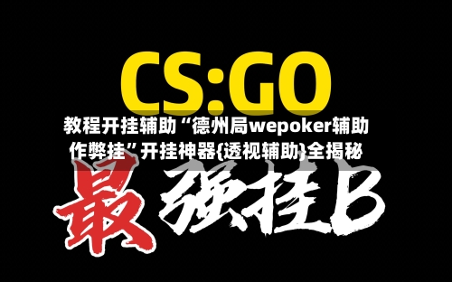 教程开挂辅助“德州局wepoker辅助作弊挂	”开挂神器{透视辅助}全揭秘-第1张图片