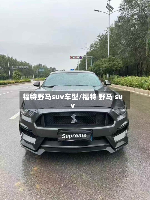 福特野马suv车型/福特 野马 suv-第1张图片