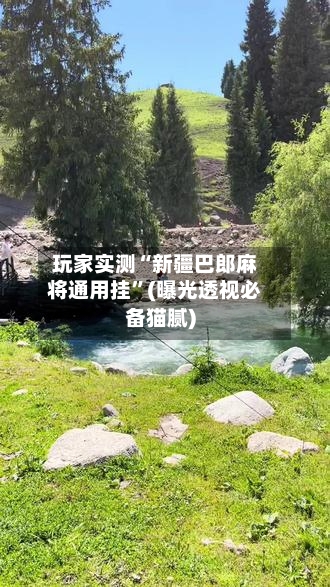 玩家实测“新疆巴郎麻将通用挂”(曝光透视必备猫腻)-第1张图片