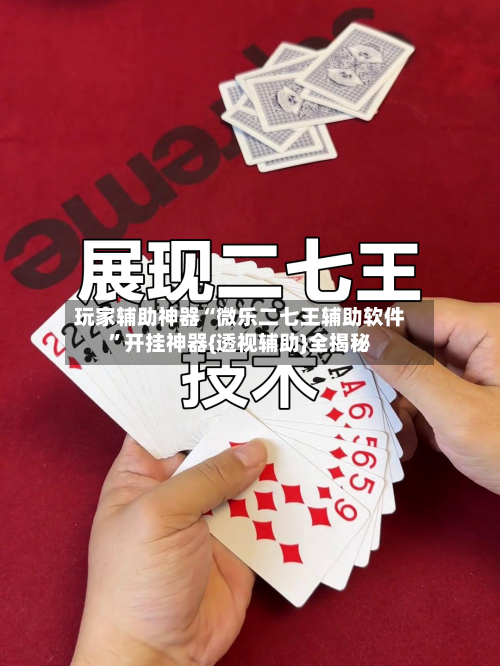 玩家辅助神器“微乐二七王辅助软件”开挂神器{透视辅助}全揭秘-第1张图片