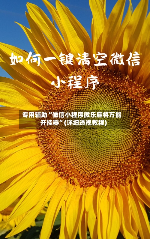 专用辅助“微信小程序微乐麻将万能开挂器”(详细透视教程)-第1张图片