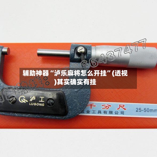 辅助神器“泸乐麻将怎么开挂”(透视)其实确实有挂-第1张图片