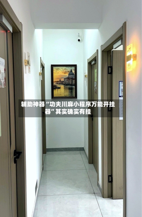 辅助神器“功夫川麻小程序万能开挂器”其实确实有挂-第1张图片