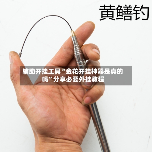 辅助开挂工具“金花开挂神器是真的吗	”分享必要外挂教程-第1张图片