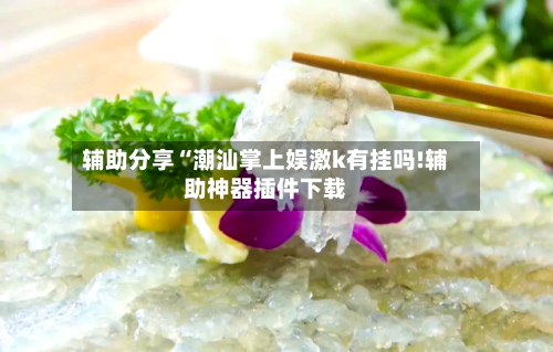 辅助分享“潮汕掌上娱激k有挂吗!辅助神器插件下载-第1张图片