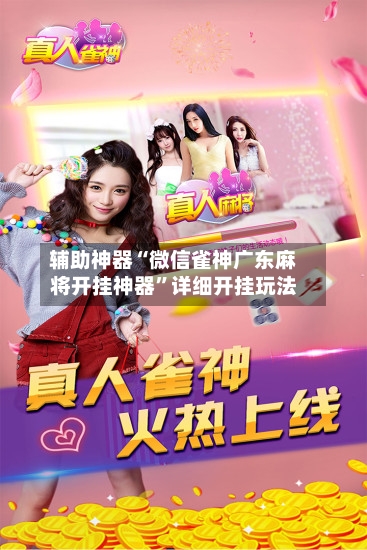 辅助神器“微信雀神广东麻将开挂神器”详细开挂玩法-第1张图片