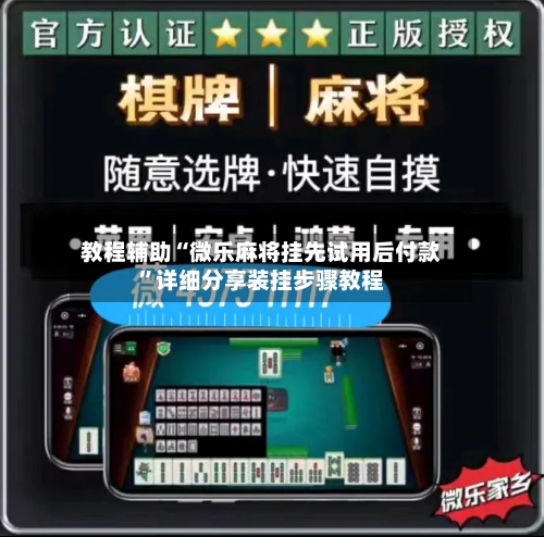 教程辅助“微乐麻将挂先试用后付款”详细分享装挂步骤教程-第1张图片