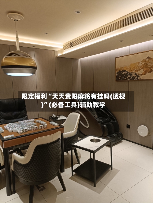 限定福利“天天贵阳麻将有挂吗(透视)	”(必备工具)辅助教学-第1张图片