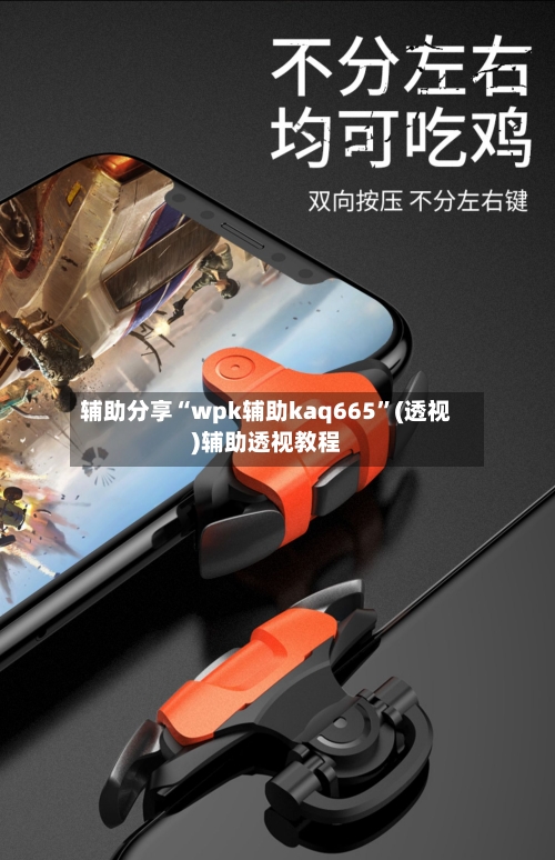 辅助分享“wpk辅助kaq665”(透视)辅助透视教程-第1张图片