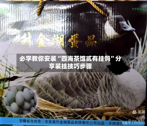 必学教你安装“四海茶馆贰有挂吗	”分享装挂技巧步骤-第1张图片