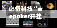 必备科技“wepoker开挂辅助方法(透视)”详细开挂玩法-第1张图片