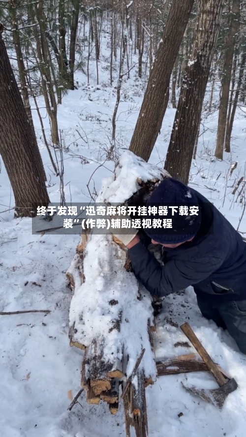 终于发现“迅奇麻将开挂神器下载安装”(作弊)辅助透视教程-第1张图片