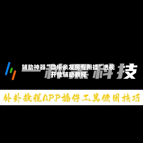 辅助神器“微乐亲友房专用挂”透视开挂辅助教程-第1张图片