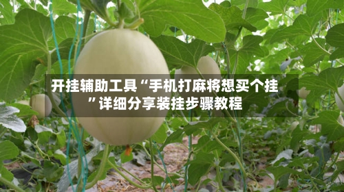 开挂辅助工具“手机打麻将想买个挂	”详细分享装挂步骤教程-第1张图片