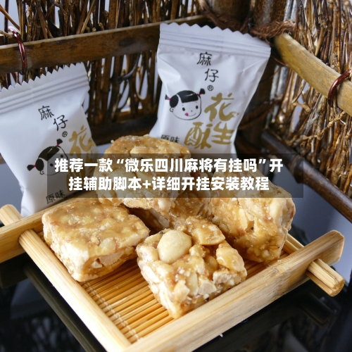 推荐一款“微乐四川麻将有挂吗”开挂辅助脚本+详细开挂安装教程-第1张图片