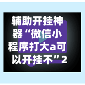 辅助开挂神器“微信小程序打大a可以开挂不	”2026透视开挂-第1张图片
