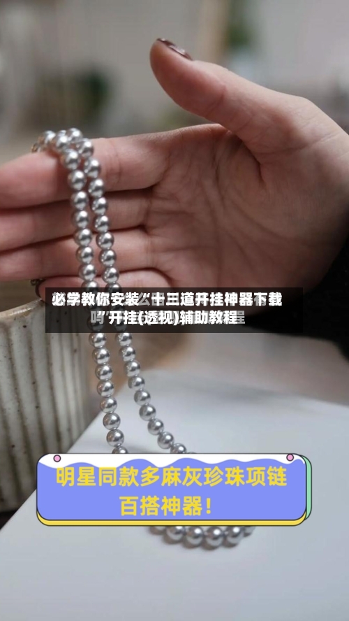 必学教你安装“十三道开挂神器下载”开挂(透视)辅助教程-第1张图片