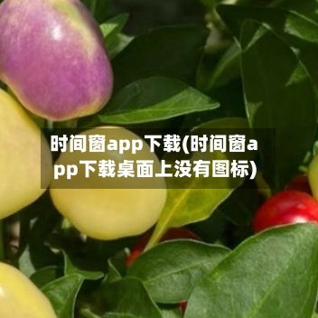 时间窗app下载(时间窗app下载桌面上没有图标)-第1张图片
