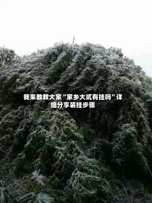 我来教教大家“家乡大贰有挂吗	”详细分享装挂步骤-第1张图片