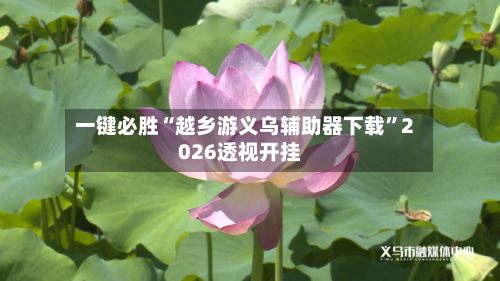 一键必胜“越乡游义乌辅助器下载	”2026透视开挂-第1张图片