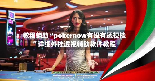 教程辅助“pokernow有没有透视挂”详细外挂透视辅助软件教程-第1张图片