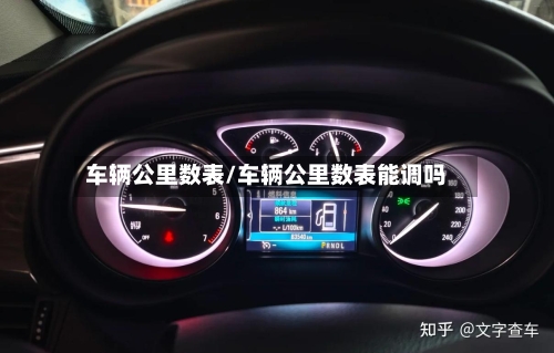 车辆公里数表/车辆公里数表能调吗-第1张图片