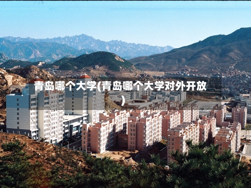 青岛哪个大学(青岛哪个大学对外开放)-第1张图片