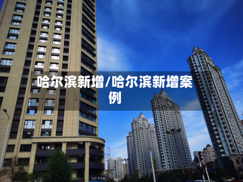 哈尔滨新增/哈尔滨新增案例-第1张图片