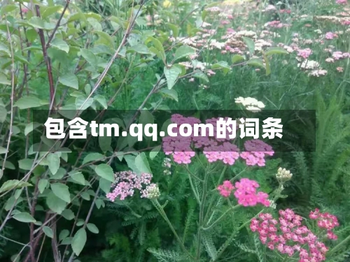 包含tm.qq.com的词条-第1张图片