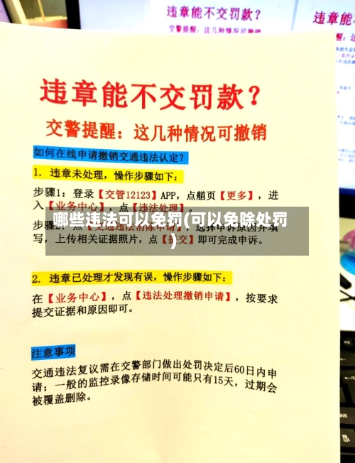 哪些违法可以免罚(可以免除处罚)-第1张图片