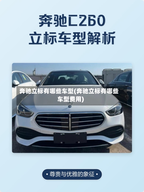 奔驰立标有哪些车型(奔驰立标有哪些车型费用)-第1张图片