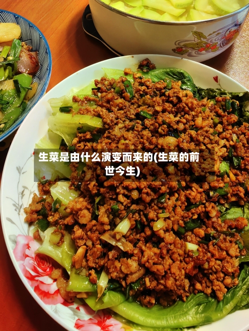 生菜是由什么演变而来的(生菜的前世今生)-第1张图片
