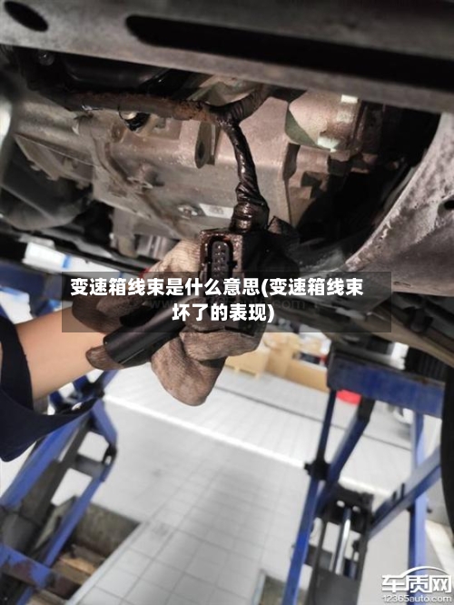 变速箱线束是什么意思(变速箱线束坏了的表现)-第1张图片