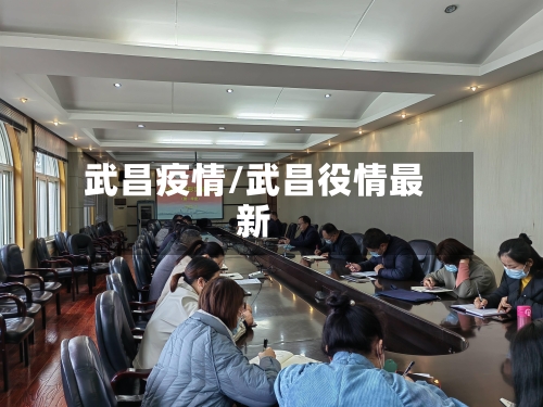 武昌疫情/武昌役情最新-第1张图片