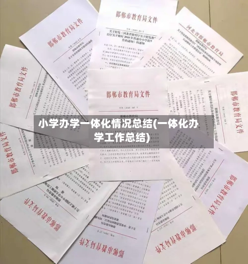 小学办学一体化情况总结(一体化办学工作总结)-第1张图片