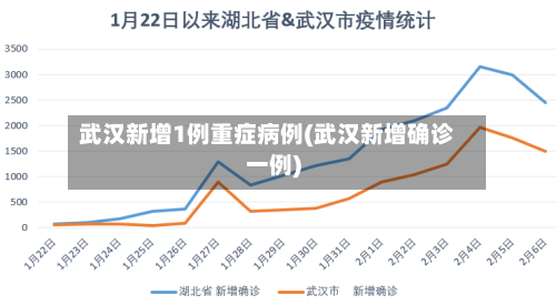 武汉新增1例重症病例(武汉新增确诊一例)-第1张图片