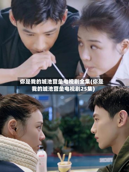 你是我的城池营垒电视剧全集(你是我的城池营垒电视剧25集)-第1张图片