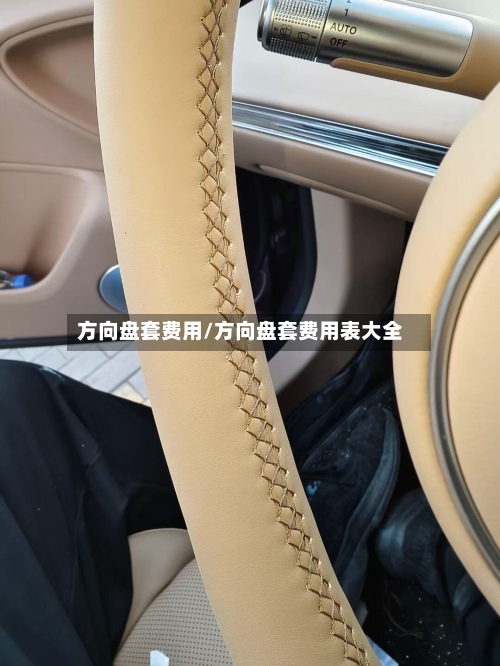 方向盘套费用/方向盘套费用表大全-第1张图片