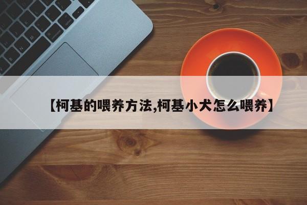 【柯基的喂养方法,柯基小犬怎么喂养】