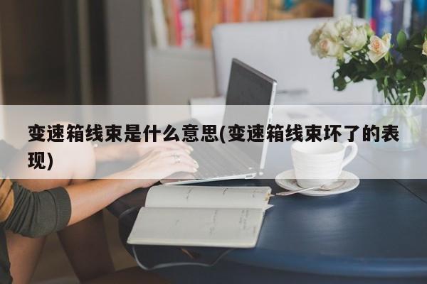变速箱线束是什么意思(变速箱线束坏了的表现)