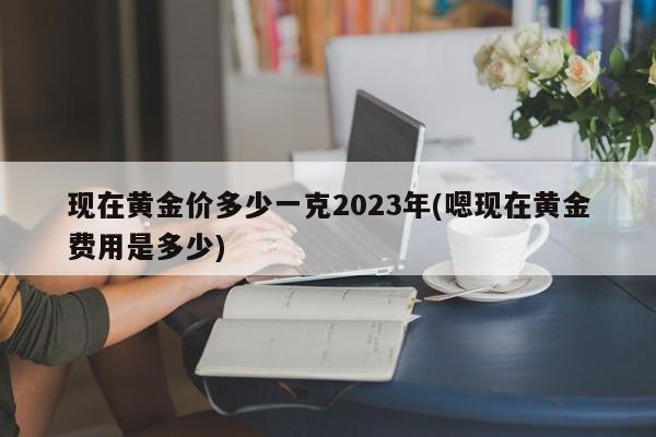现在黄金价多少一克2023年(嗯现在黄金费用是多少)